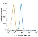 p300 Antibody in Flow Cytometry (Flow)