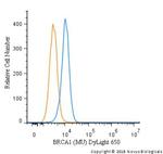 BRCA1 Antibody in Flow Cytometry (Flow)
