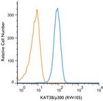 p300 Antibody in Flow Cytometry (Flow)