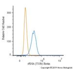 rRNA Antibody in Flow Cytometry (Flow)