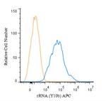 rRNA Antibody in Flow Cytometry (Flow)