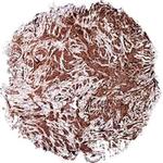 c-Myc Antibody in Immunohistochemistry (Paraffin) (IHC (P))