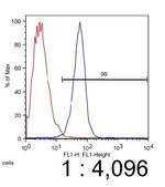 ABCA1 Antibody in Flow Cytometry (Flow)