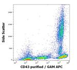 CD43 Antibody in Flow Cytometry (Flow)