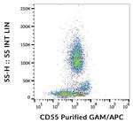 CD55 Antibody in Flow Cytometry (Flow)