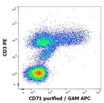 Transferrin Receptor Antibody in Flow Cytometry (Flow)