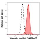 Vimentin Antibody in Flow Cytometry (Flow)