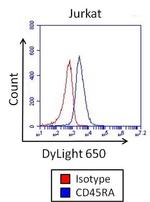 Mouse IgG2b Isotype Control in Flow Cytometry (Flow)