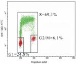 BrdU Antibody in Flow Cytometry (Flow)