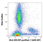 HLA-DR/DP Antibody in Flow Cytometry (Flow)