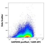 GAPDHS Antibody in Flow Cytometry (Flow)