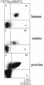 CD21 Antibody in Flow Cytometry (Flow)