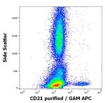 CD21 Antibody in Flow Cytometry (Flow)