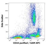 CD44 Antibody in Flow Cytometry (Flow)