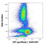 SIT Antibody in Flow Cytometry (Flow)