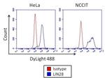 Mouse IgG2a Isotype Control in Flow Cytometry (Flow)