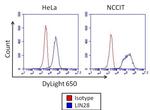 Mouse IgG2a Isotype Control in Flow Cytometry (Flow)