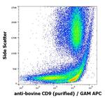 CD9 Antibody in Flow Cytometry (Flow)