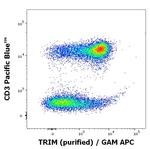 LAT Antibody in Flow Cytometry (Flow)