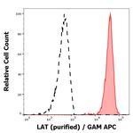 LAT Antibody in Flow Cytometry (Flow)