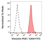 Vimentin Antibody in Flow Cytometry (Flow)