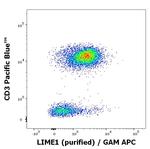 LIME Antibody in Flow Cytometry (Flow)