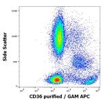 CD36 Antibody in Flow Cytometry (Flow)