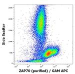 Zap-70 Antibody in Flow Cytometry (Flow)