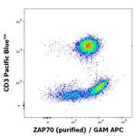 Zap-70 Antibody in Flow Cytometry (Flow)