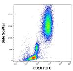 CD10 Antibody in Flow Cytometry (Flow)