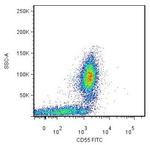 CD55 Antibody in Flow Cytometry (Flow)