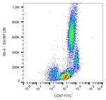 CD97 Antibody in Flow Cytometry (Flow)