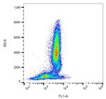 FAS Antibody in Flow Cytometry (Flow)