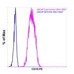 CD10 Antibody in Flow Cytometry (Flow)