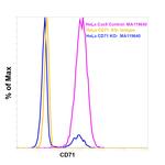 Transferrin Receptor Antibody in Flow Cytometry (Flow)