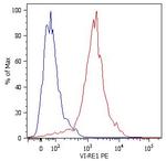 Vimentin Antibody in Flow Cytometry (Flow)