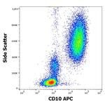 CD10 Antibody in Flow Cytometry (Flow)