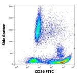 CD36 Antibody in Flow Cytometry (Flow)