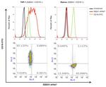 SSEA1 Antibody