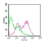 CD254 (RANK Ligand) Antibody in Flow Cytometry (Flow)