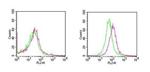 RANK Antibody in Flow Cytometry (Flow)