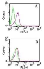 D4-GDI Antibody in Flow Cytometry (Flow)