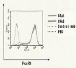 FceR1 alpha Antibody in Flow Cytometry (Flow)