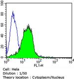 AHR Antibody in Flow Cytometry (Flow)