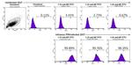 Influenza A NP Antibody in Flow Cytometry (Flow)