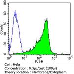 ErbB3 Antibody in Flow Cytometry (Flow)