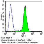 ErbB3 Antibody in Flow Cytometry (Flow)