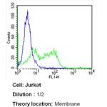 CD3e Antibody in Flow Cytometry (Flow)