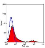 Transferrin Receptor Antibody in Flow Cytometry (Flow)