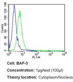 Bcl-3 Antibody in Flow Cytometry (Flow)